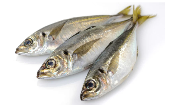 ikan lokal untuk mpasi, ikan kaya omega 3 mpasi, ikan gabus untuk bayi, mpasi ikan patin, kandungan gizi ikan lele, mpasi tinggi protein, mpasi dari ikan lokal, manfaat ikan kembung untuk anak, ikan teri nasi untuk mpasi, protein hewani mpasi 6 bulan, 